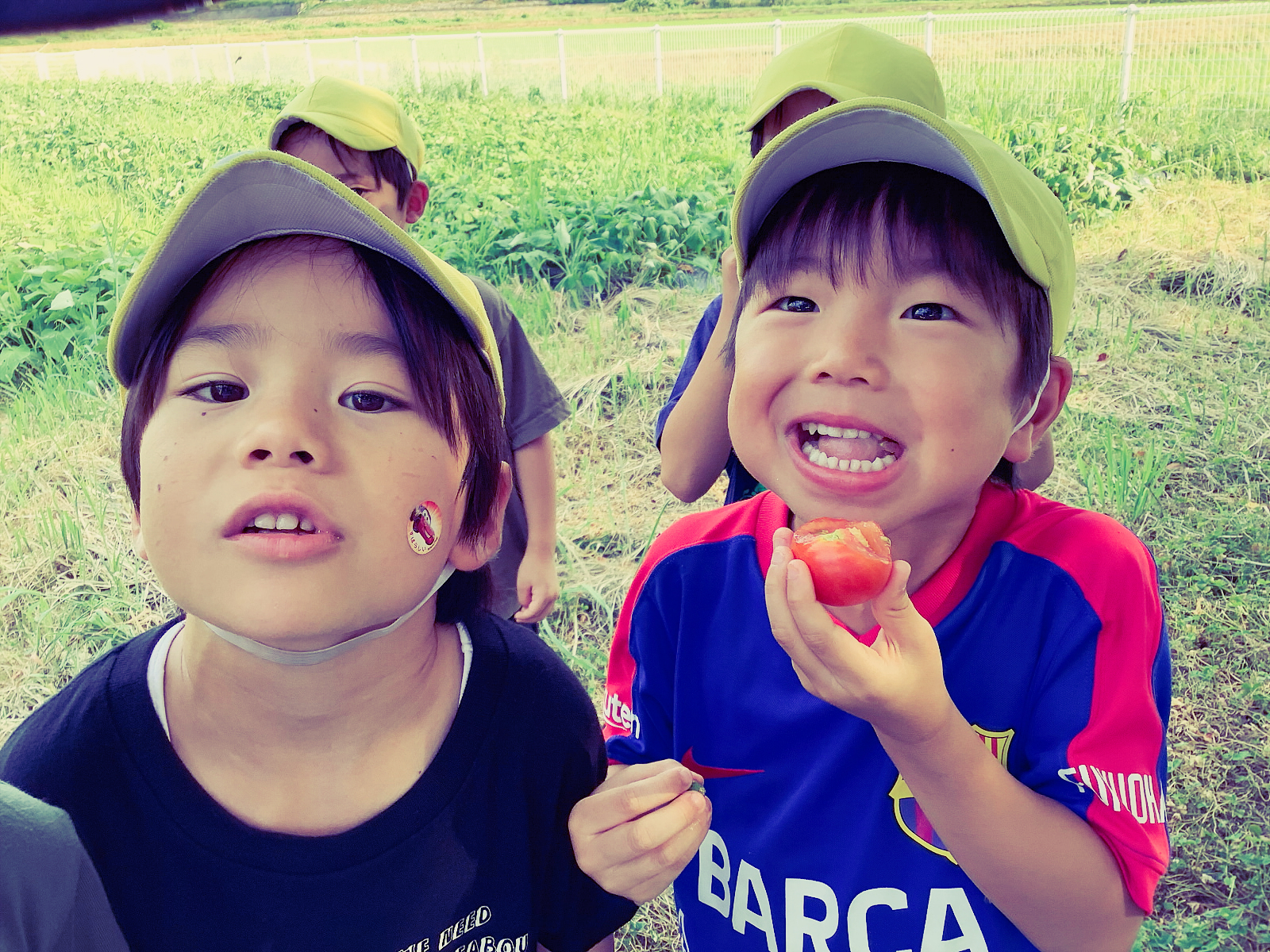 写真：チューリップと園児たち