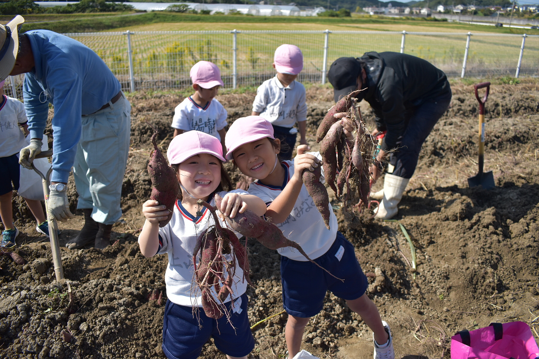 写真：運動会・芋ほり